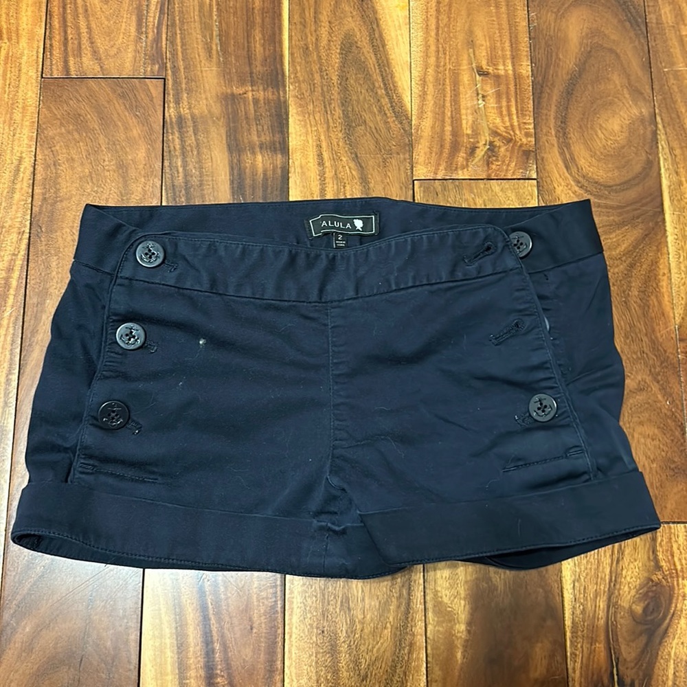 Aritzia shorts